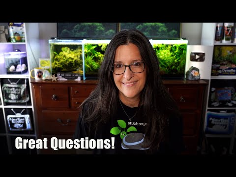 Answering Common AQUATIC PLANT Questions!