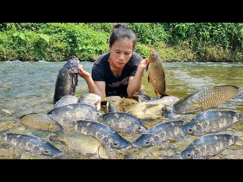 How to Harvest Giant Stream Fish to Sell at Market & Cooking