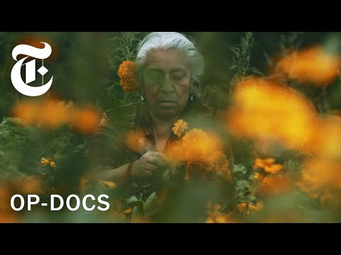 For Day of the Dead, I Followed This Flower's Journey | Op-Docs