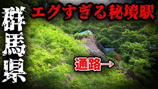 【上越線】不思議なところにホームが作られた秘境駅に行ってきた！！なぜそこに作った...！！