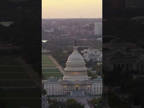 The Rare Toad Vs. the Clean Energy Power Plant (Part 2)