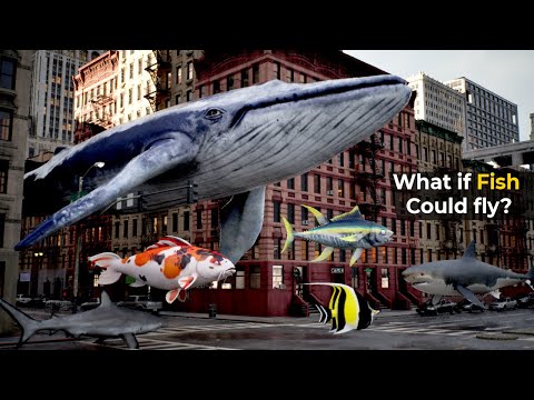 What if FISH could fly? |  Sea creatures Size comparison | Bloop size