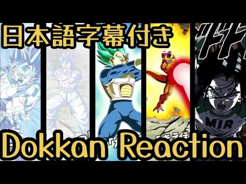 ドッカンバトル LR 第七宇宙 17号 リアクション Dokkan LR universe 7 Android17 Reaction