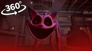 CATNAP MOVIE Collection 360° VR