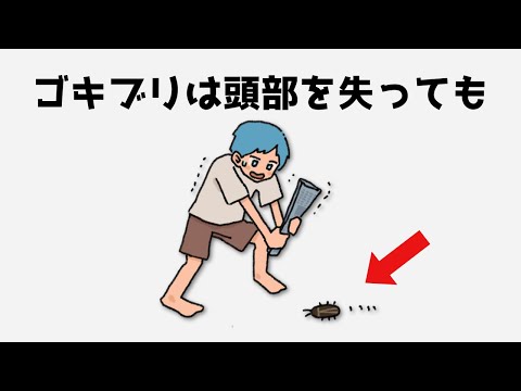 誰かに話したくなる不思議な動物の雑学