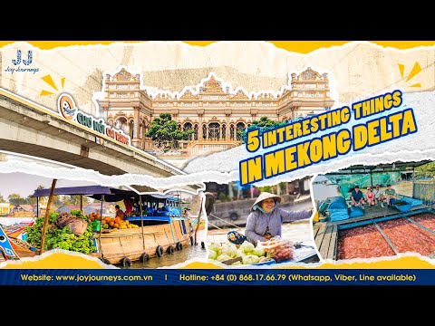 Mekong Delta Tour: 5 Unique Experiences You Can't Miss