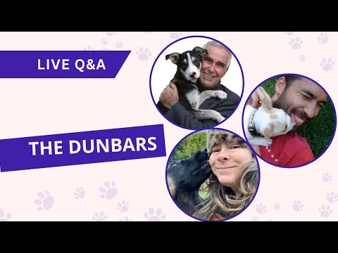 Out of Control Dog Summit Day 2 Live Q&A with the Dunbars