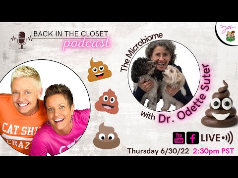 Dr. Odette Suter | Back In The Closet | Two Crazy Cat Ladies