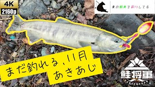 好調！オホーツク海で鮭将軍を飛ばすアキアジ釣り