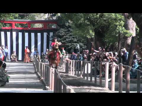 令和5年鶴岡八幡宮例大祭流鏑馬神事、町田和海さんソフィア号