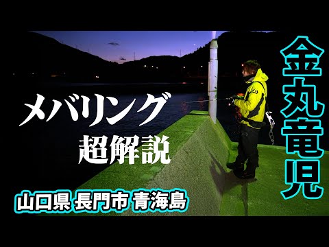 山口県の堤防でメバリング上達のヒント大公開！2/2 『Mebarin Gate 5 金丸竜児×シーズン前のメバル攻略』イントロver.【釣りビジョン】その②