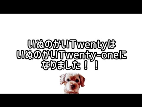 いぬのかいTwenty-one 17　いぬのかい20はいぬのかい21になりました！！U^ｪ^U