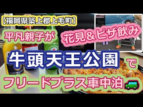 【福岡県築上郡上毛町】平凡親子が牛頭天王公園でフリードプラス車中泊🚙【花見＆ピザ飲み】