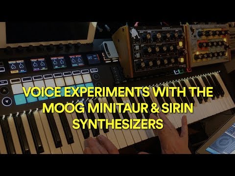 Moog Minitaur & Sirin Poly Voice Experiments