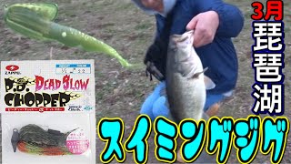 【春の琵琶湖】スイミングジグ【PDアンモ】で3月のデカバス攻略‼︎ Catch a big bass with a swimming jig at Lake Biwa in spring