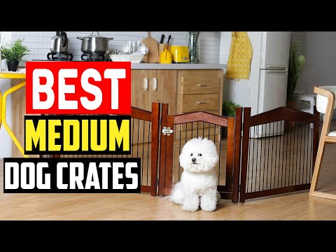 ✅Top 5 Best Medium Dog Crates for Mid in 2024