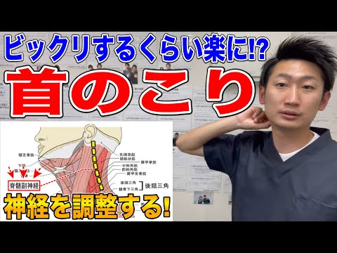 【実践!!】頑固な肩こりや首こりを改善する神経調整方法【ハリボディTV】