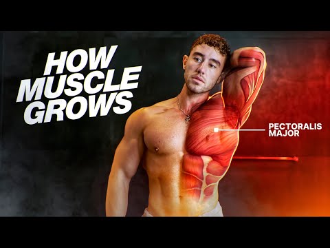 How to Lift to GROW MORE MUSCLE (the Science of Hypertrophy)