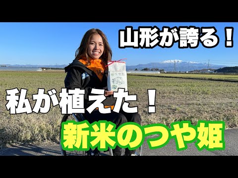 ふるさと応援米として、私が植えたつや姫が販売されることになりました！【山形県つや姫観光大使】