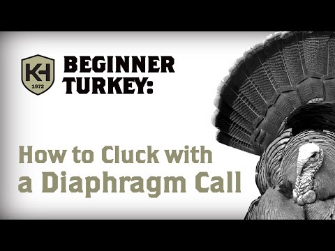 How to Cluck with a Diaphragm Call: Turkey Calling For Beginners