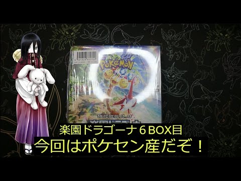 【ポケカ】「楽園ドラゴーナ」6BOX目で久々にコレクションが増えました…