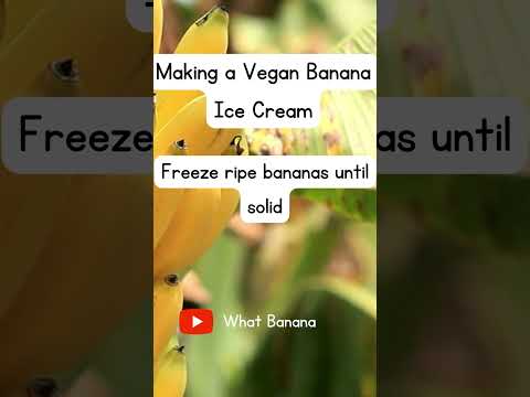 Vegan Banana Ice Cream #fruitfuldelights   #bananadelight  #bananafact