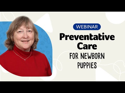 Preventative Care for Young Puppies Webinar