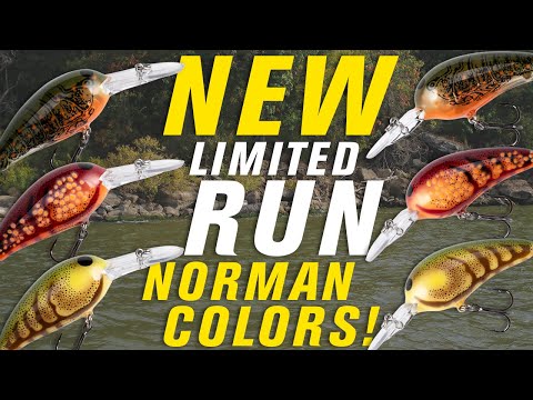 Norman Drops 3 New Crankbait Patterns for Pre-Spawn Bass Fishing!