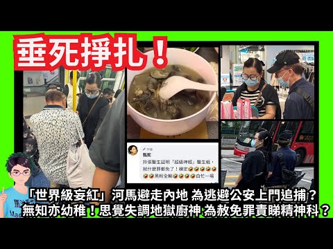 垂死掙扎！「世界級妄紅」河馬為逃避公安上門追捕避走內地？｜無知亦幼稚！思覺失調地獄神 為赦免罪責睇精神科？｜指鹿為馬！｜大勢已去！大小號相繼被封！為帶貨瘋狂洗底！｜甄妮繼續鬧何伯夫婦｜特朗普｜何伯何太