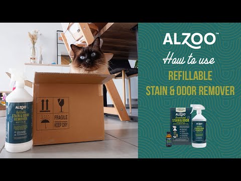 How to use ALZOO™ Refillable Stain and Odor Remover?