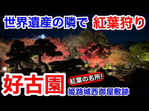 【姫路観光】世界遺産の隣で紅葉狩り！姫路城西御屋敷跡庭園 好古園