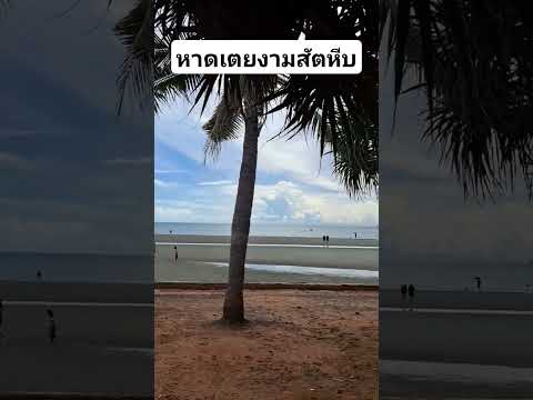 หาดเตยงาม #กดติดตาม #shorts