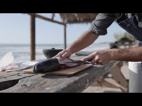 Black Cod beach cookout | by E-fish's Jeff Tedmori