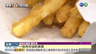 外食紙袋.紙碗致癌? 用對方法免緊張 | 打假特攻隊 | 華視新聞 20190705