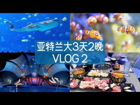 亚特兰大VLOG｜下篇｜亚特兰大水族馆｜假期遛娃好去处｜最美鲨鱼馆