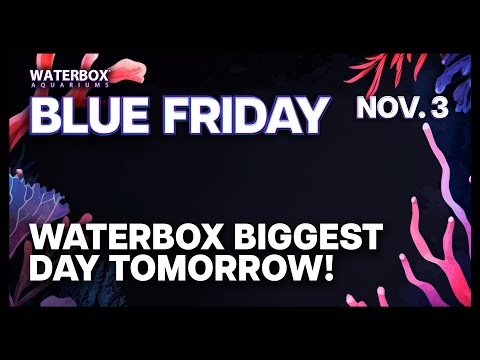 Less than 24 hours to go until the annual Blue Friday Begins.  Get Ready!