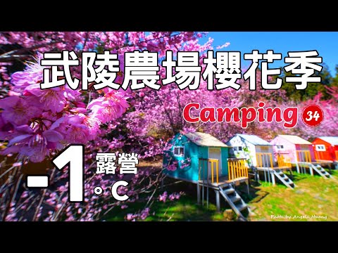 【34】How to camp at a low temperature below minus 1 degree? ? ｜Wuling Farm