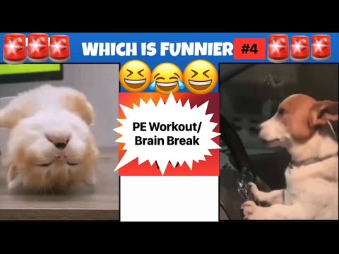 PhysEdZone: "Which is Funnier" PE Workout 4 | Brain Break