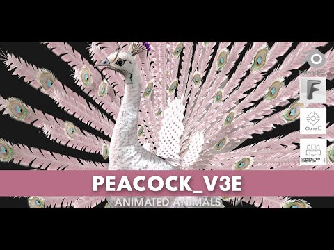 Peacock V3E