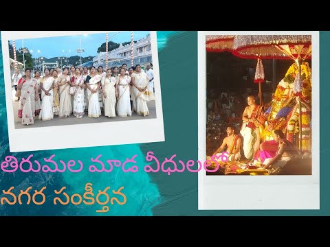 తిరుమల మాడ వీధులలో నగర సంకీర్తన ఎప్పుడైనా చూసారా?#thirumala #nagarasankeerthana