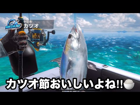 カツオが釣れたらお腹空いてきた‼︎釣りの達人