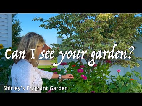 Her Sensory Garden Explored