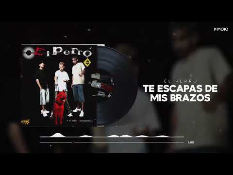 El Perro - Te Escapas De Mis Brazos (Cover Audio)