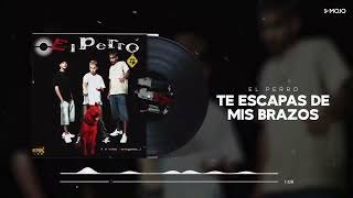 El Perro - Te Escapas De Mis Brazos (Cover Audio)