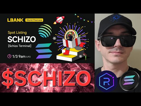 $SCHIZO - SCHIZO TERMINAL TOKEN CRYPTO COIN HOW TO BUY SOLANA LBANK SOL RAYDIUM AI AGENTS BLOCKCHAIN