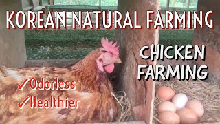 Odorless Chicken Farming | Korean Natural Farming Method | Organic Farm to be in the Philippines 🥚🐔