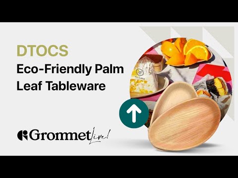 DTOCS Palm Leaf Tableware: Eco-Friendly Plates | Grommet Live