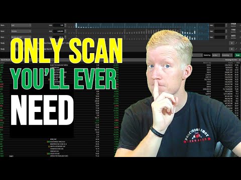 Best Swing Trade Scanners for Beginner Traders