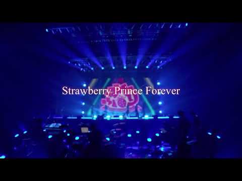 Strawberry Prince Forever  【すとぷり】　【歌詞】