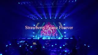 Strawberry Prince Forever  【すとぷり】　【歌詞】